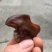 干木耳一级