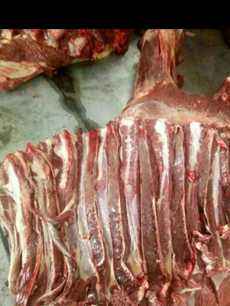 马肉冷冻