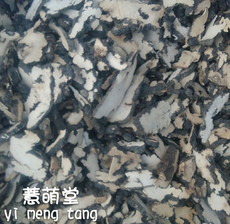 猪苓猪屎苓个