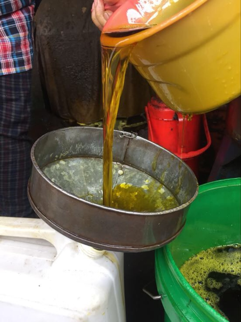 压榨菜籽油