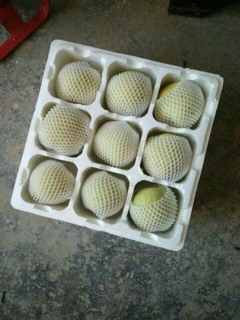 砀山梨150~200g纸袋