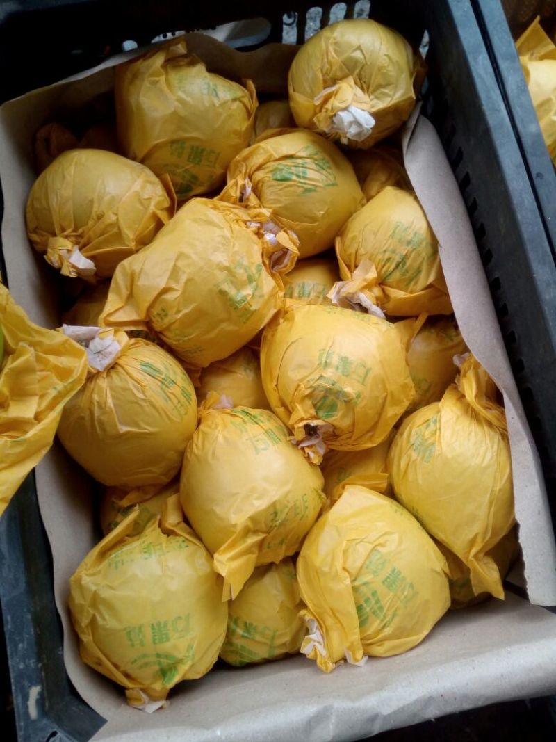 翠玉梨300~350g纸袋
