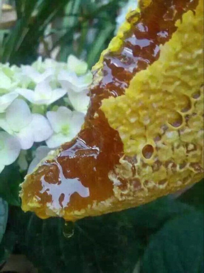 百花蜜
