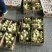 扬州大白鹅苗250g以下