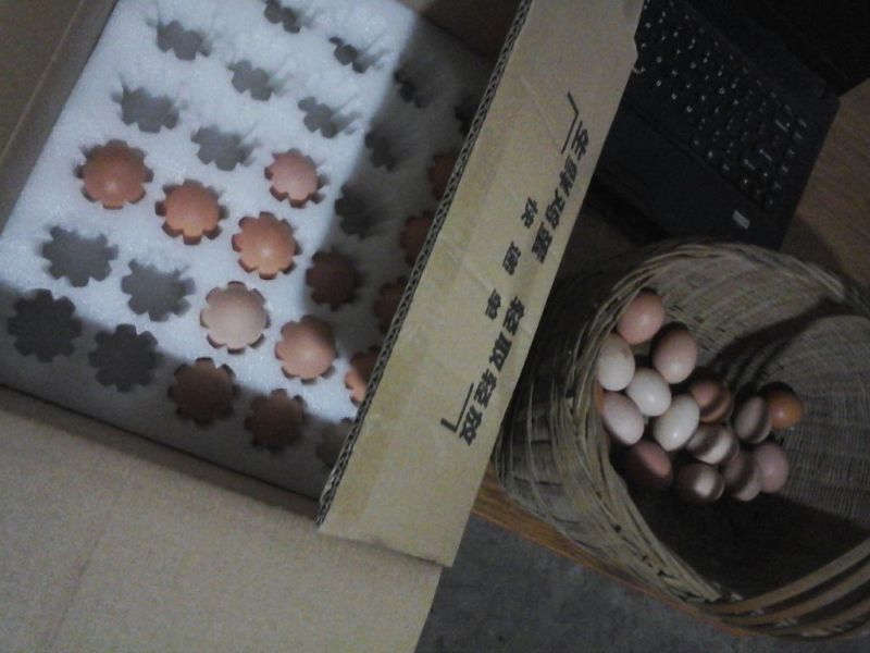 土鸡蛋食用40~50g