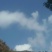 霞浦海带