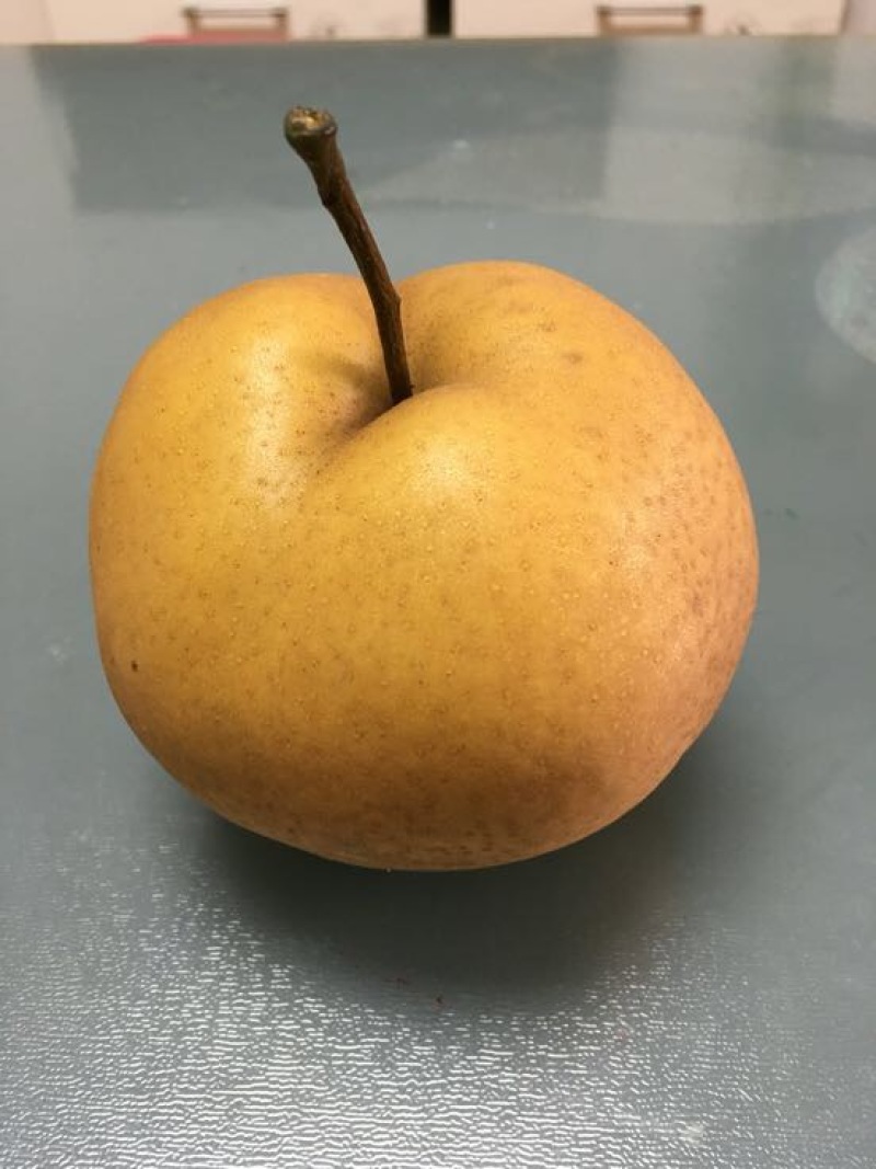 红梨