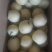 皇冠梨250~300g纸袋