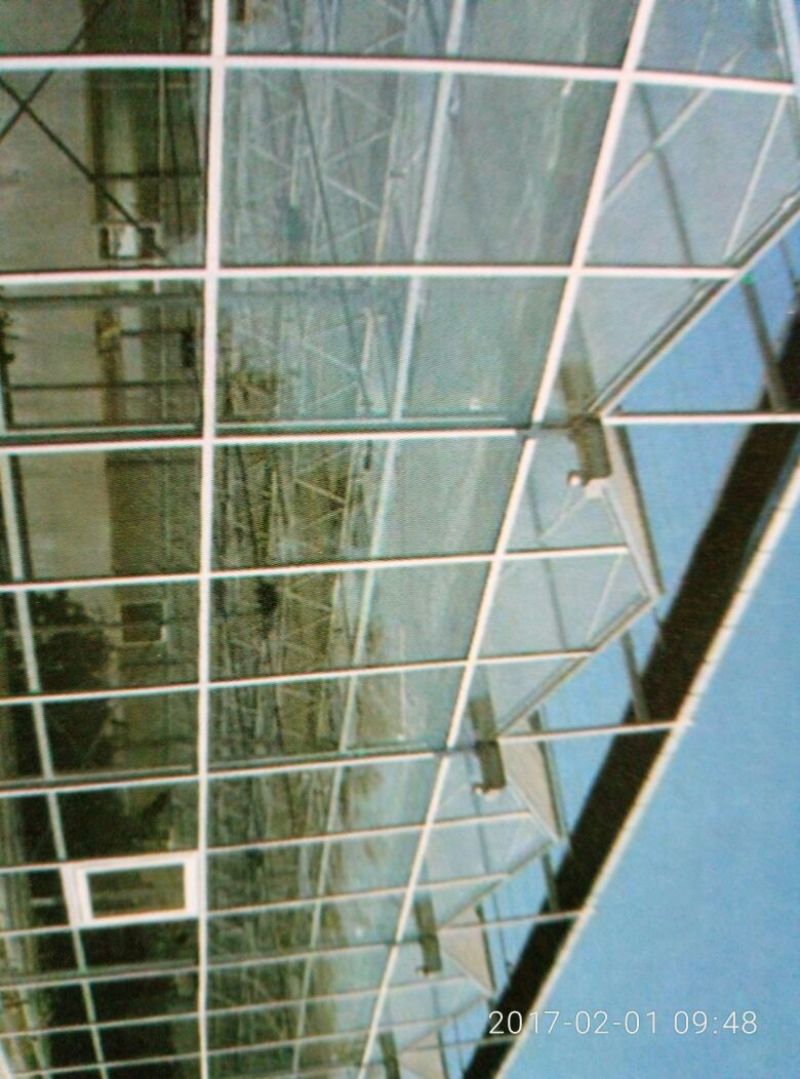 温室大棚连栋温室建造，设计规划及农产品种植技术。