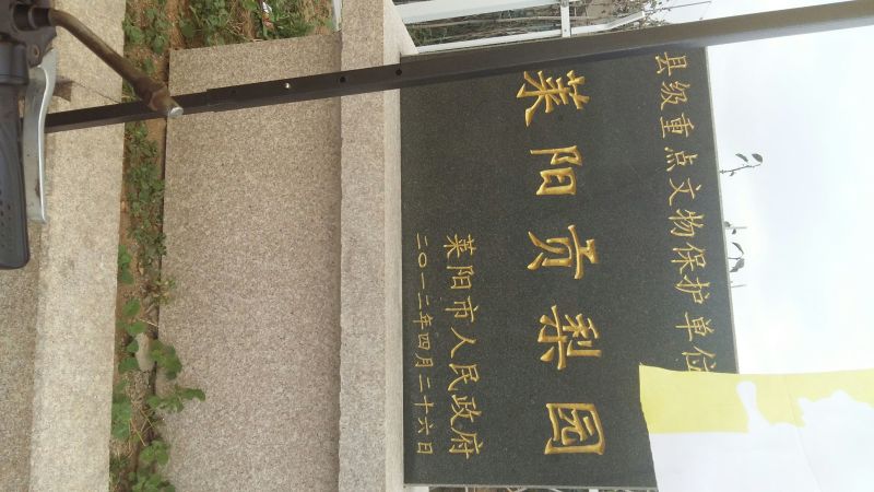 莱阳梨350~400g光果