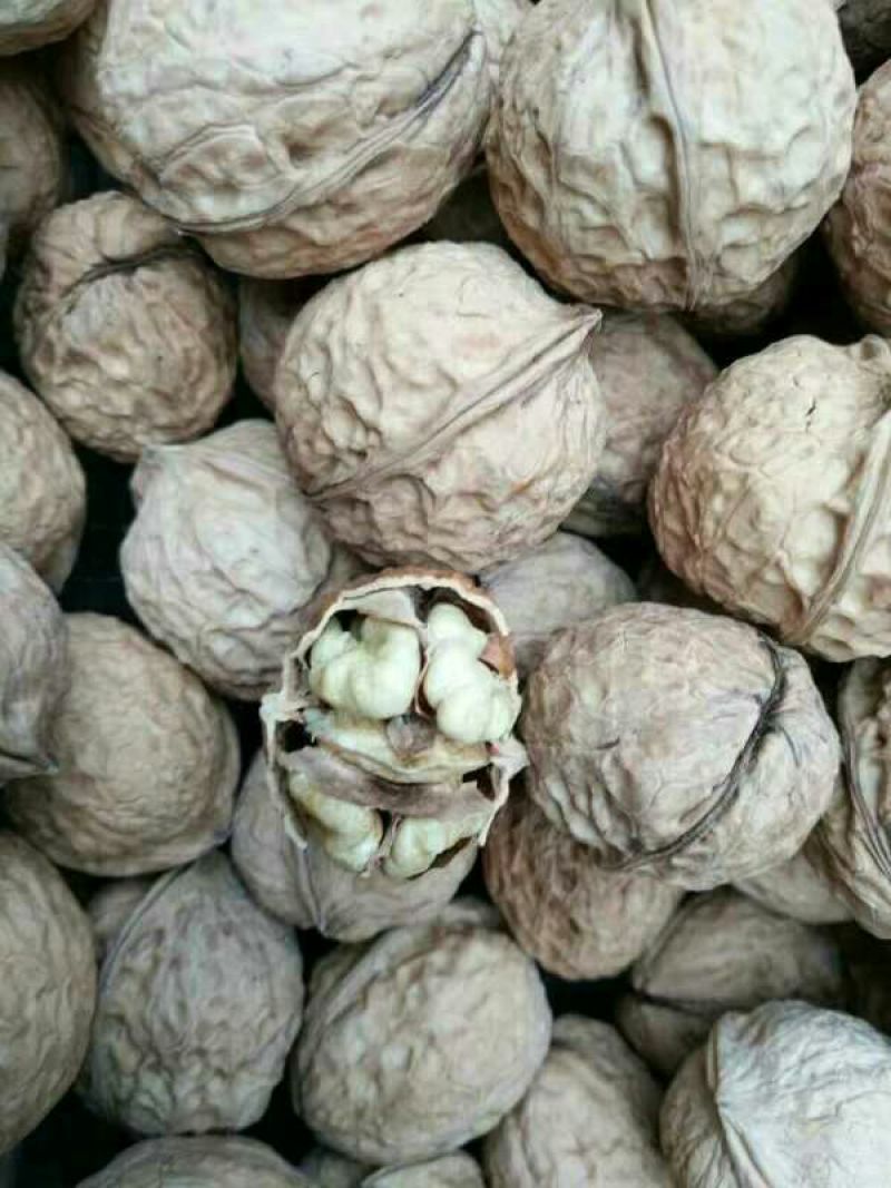 薄皮核桃去皮干