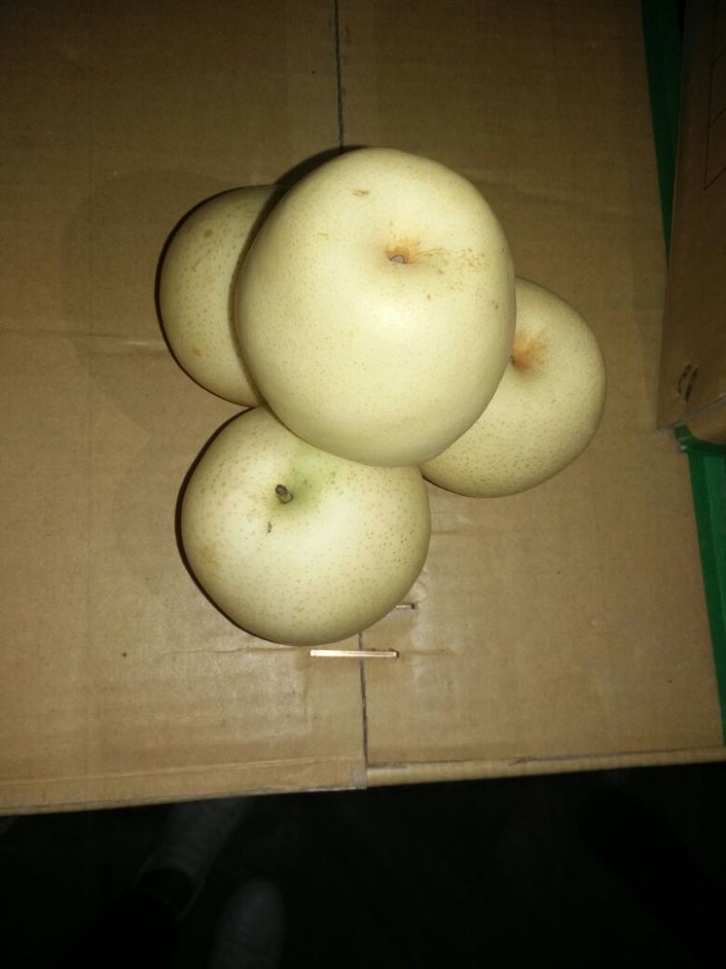 皇冠梨300~350g纸袋