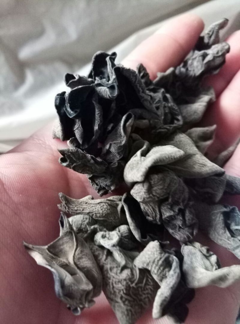 黑木耳特级