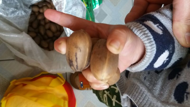薄皮核桃30mm以上去皮