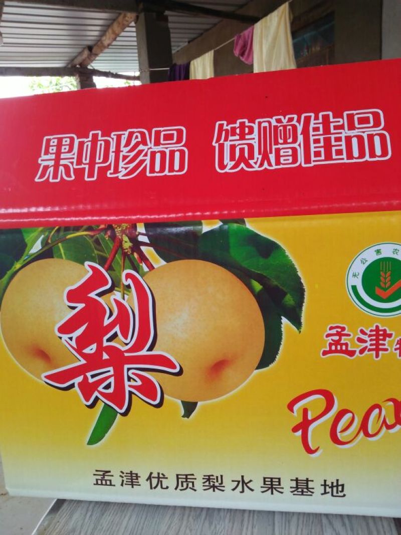 爱宕梨300~350g纸袋