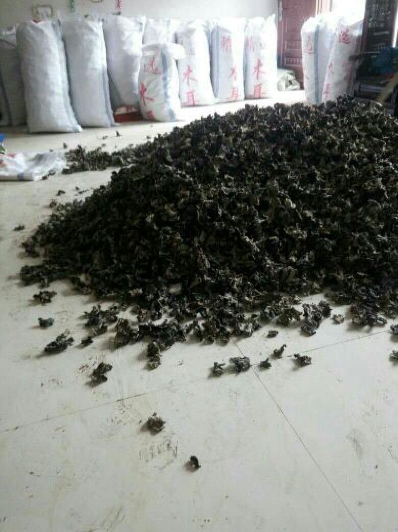 毛木耳等外