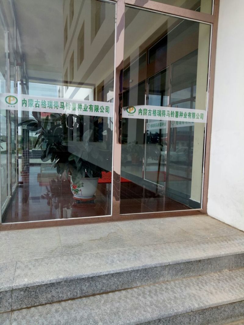 荷兰十五土豆种子一级种薯