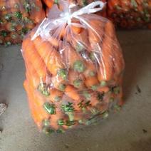 三红胡萝卜橙3两以上10厘米以上水洗