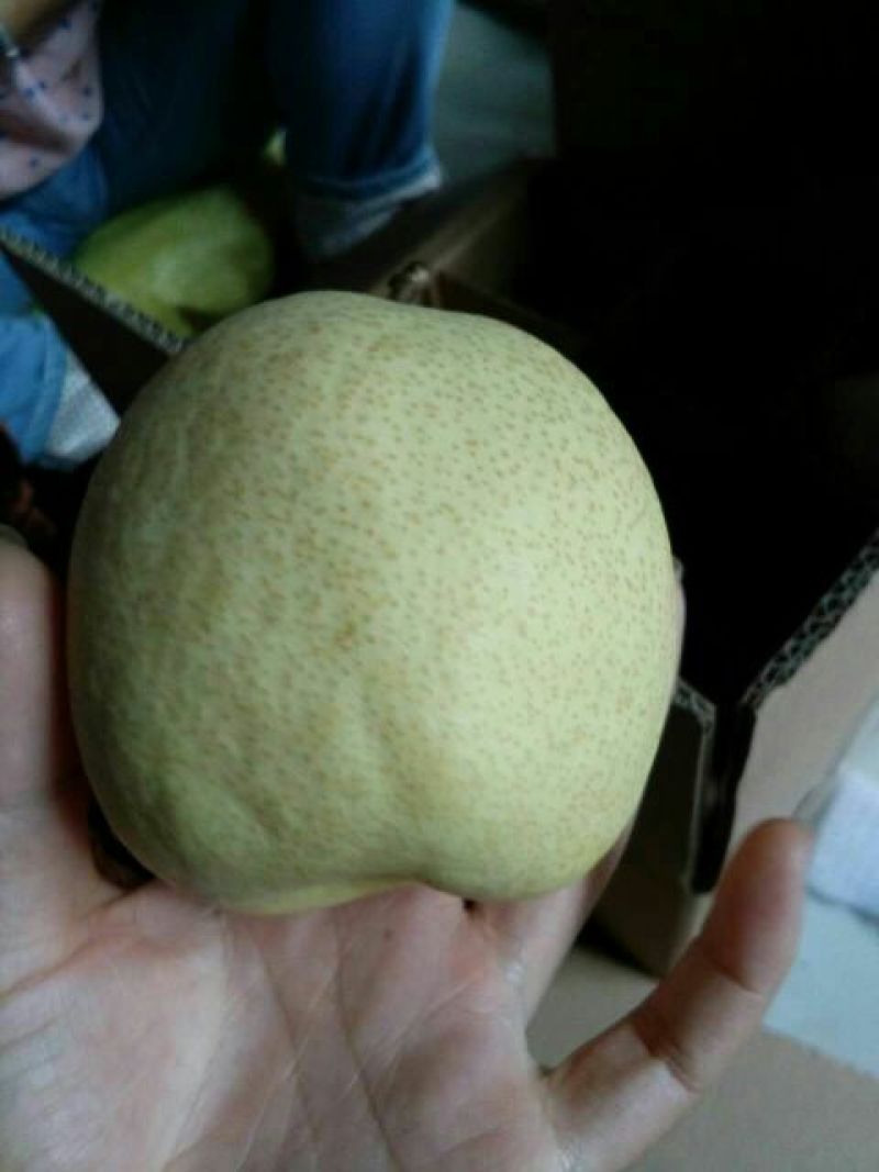 礼泉酥梨150~200g纸箱