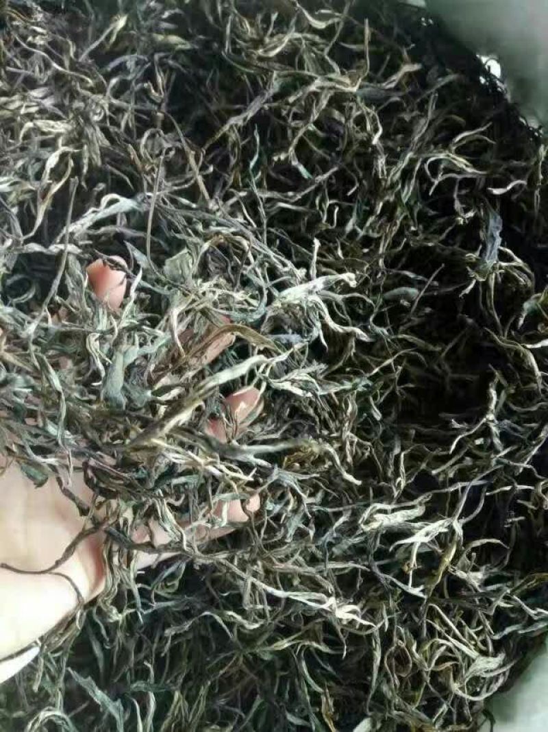 百年大树茶特级