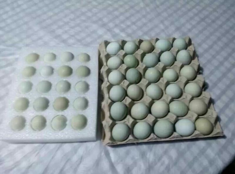 绿壳鸡蛋食用50g以下