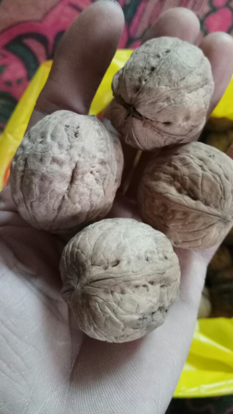 绵核桃25mm以下去皮干