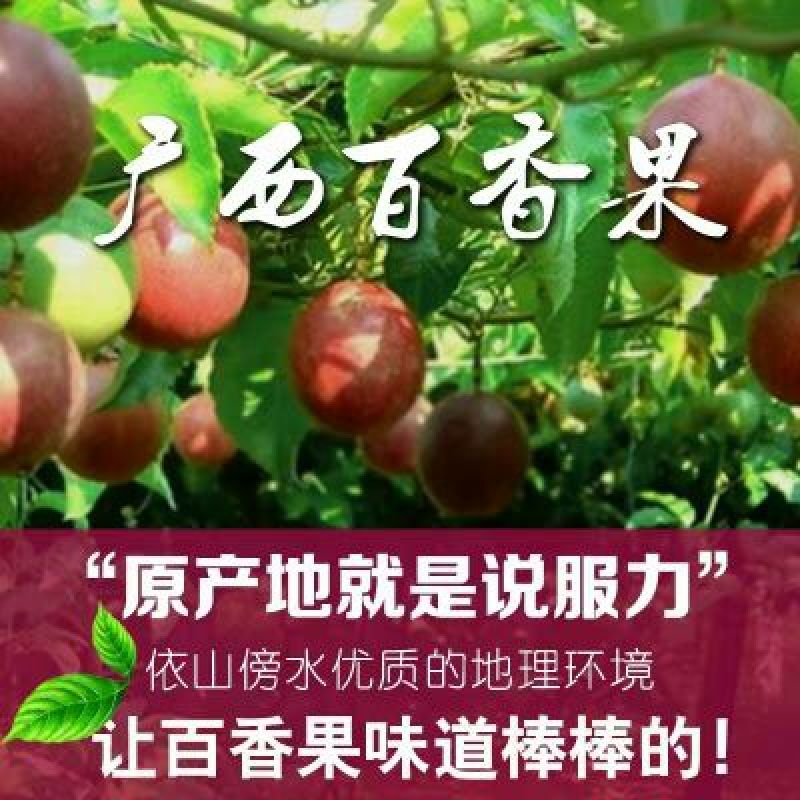百香果紫果80~90g