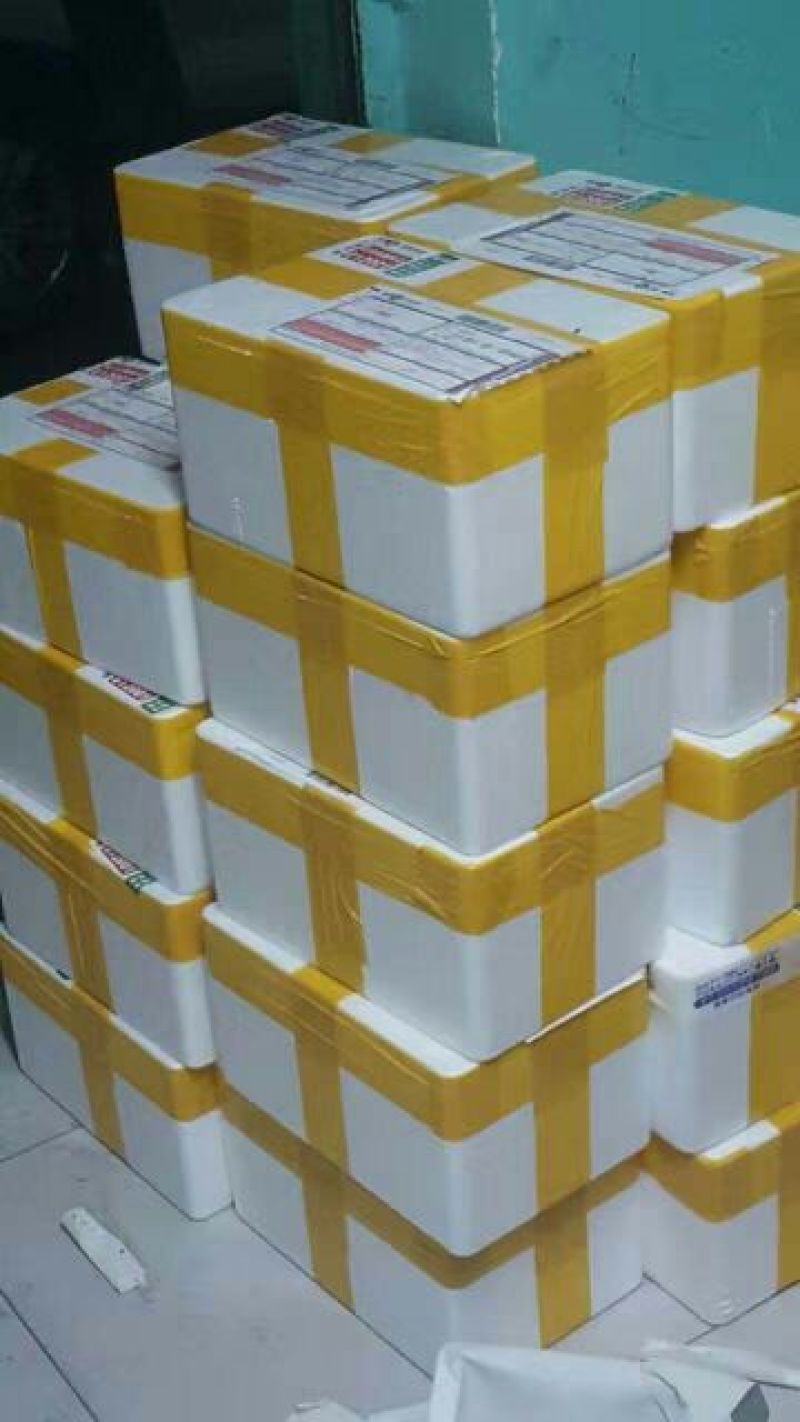 早中枇杷承接线上线下市场批发商超配送一件代发等等
