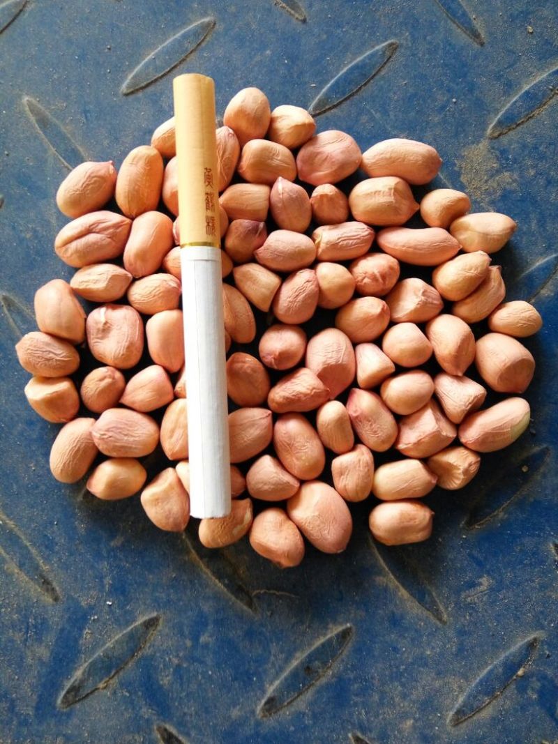 白沙系列