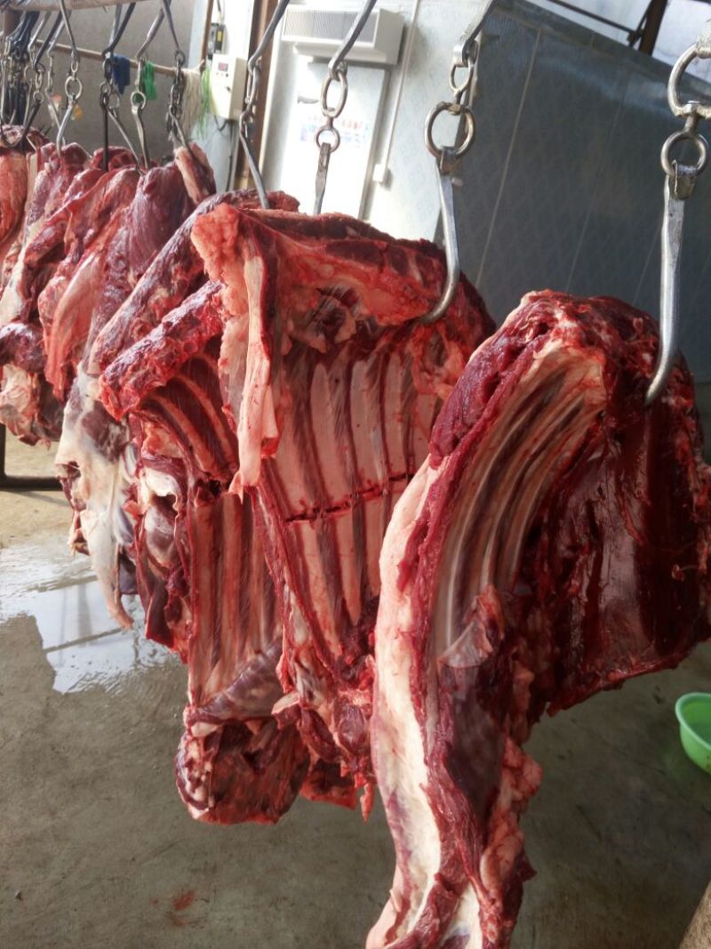 驴肉