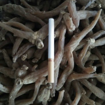 红参
