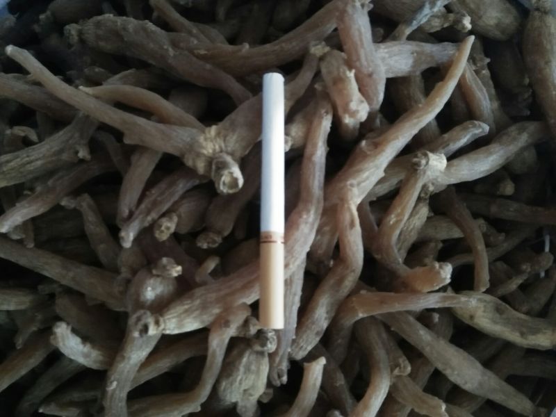 红参