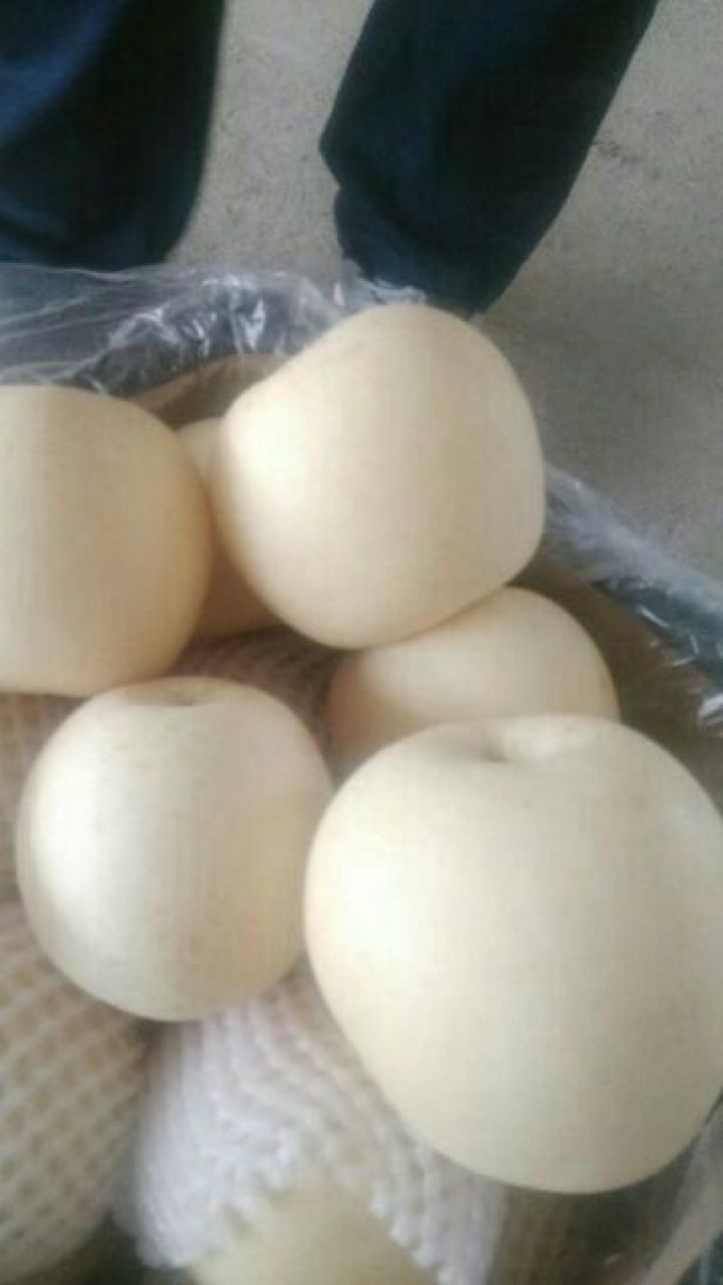 皇冠梨300~350g纸袋