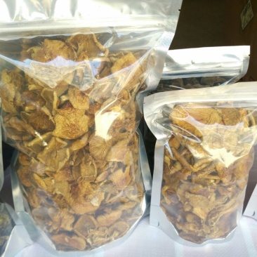 正宗东北特产精品滑子菇