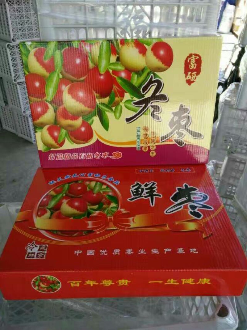 地坑棚冬枣