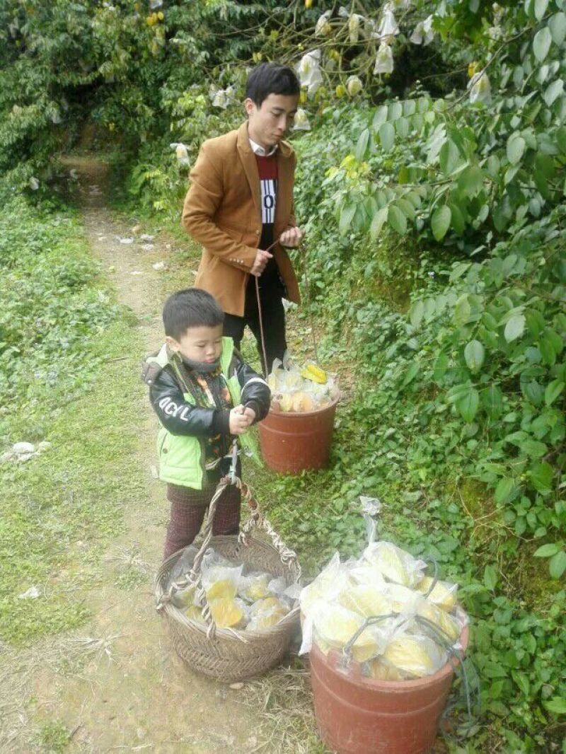 杨桃3~4两