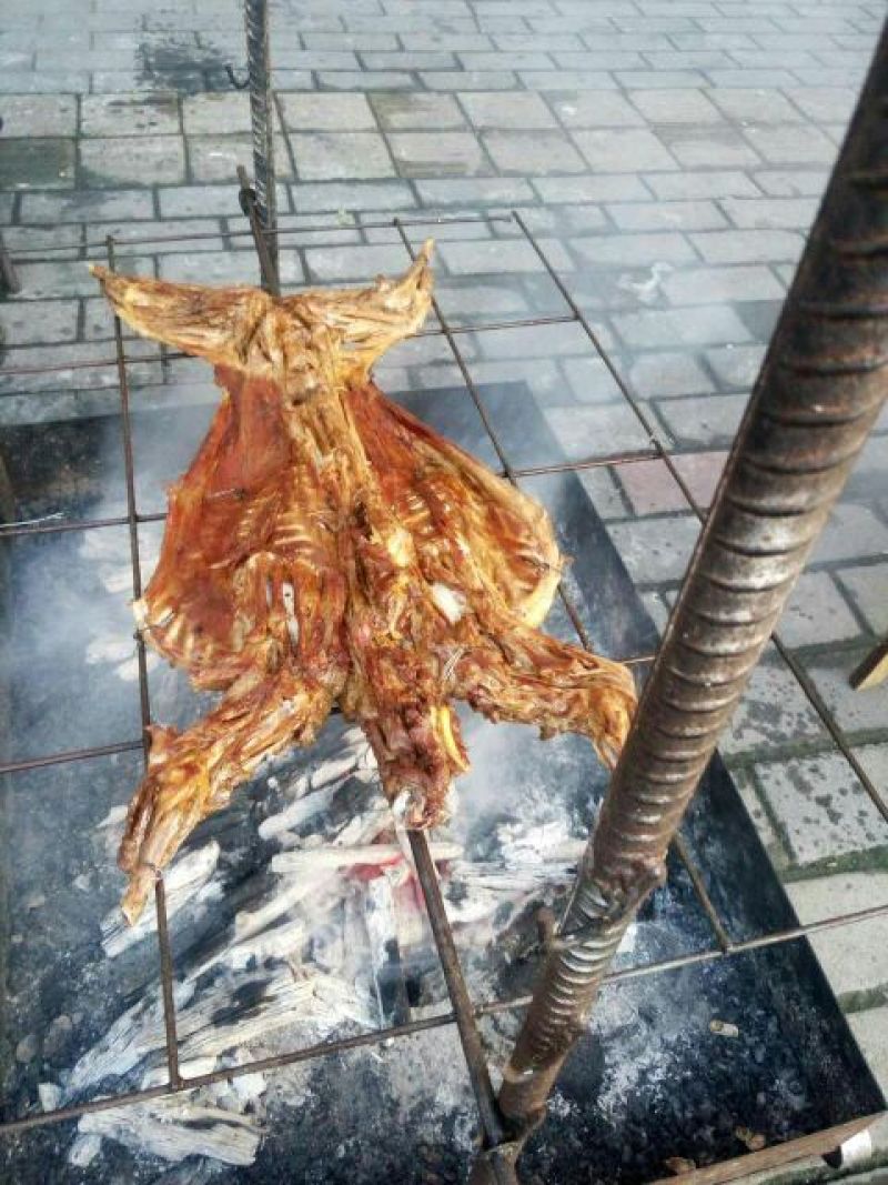 羊肉山羊肉否