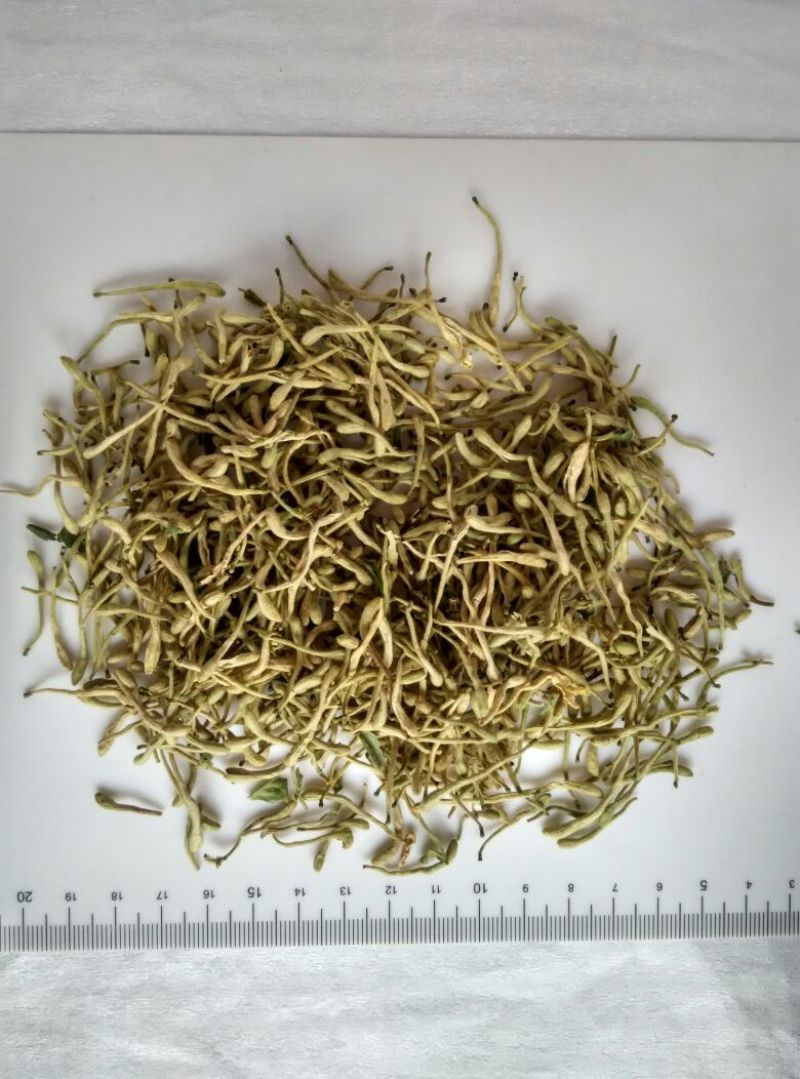 金银花色青花