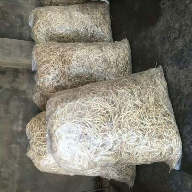 鱼腥草根塑料袋