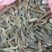 河虾冰鲜虾26~30只/kg