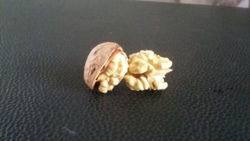 薄皮核桃
