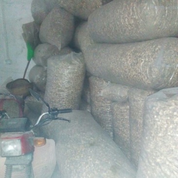 香菇腿3cm以上