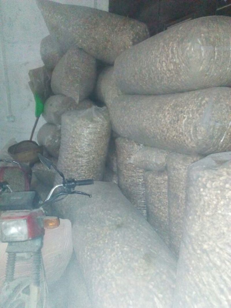 香菇腿3cm以上
