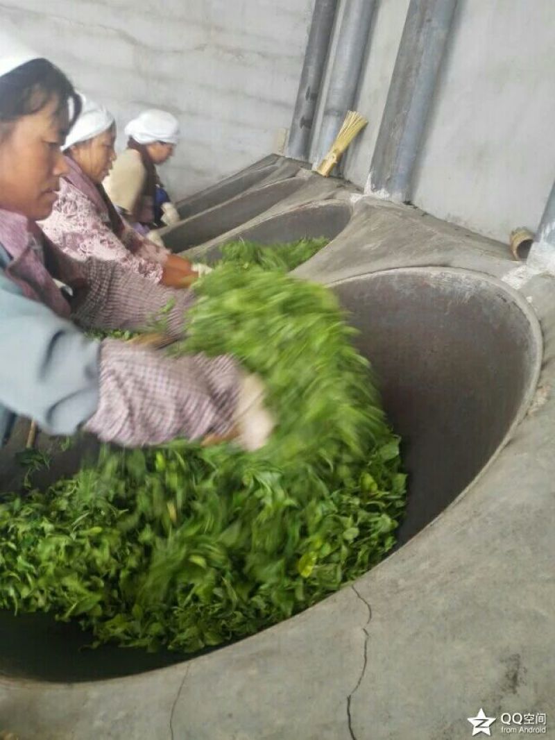 老树茶特级