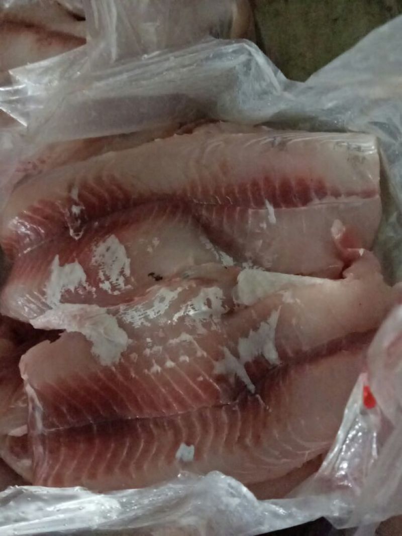 鲮鱼食用1~2公斤