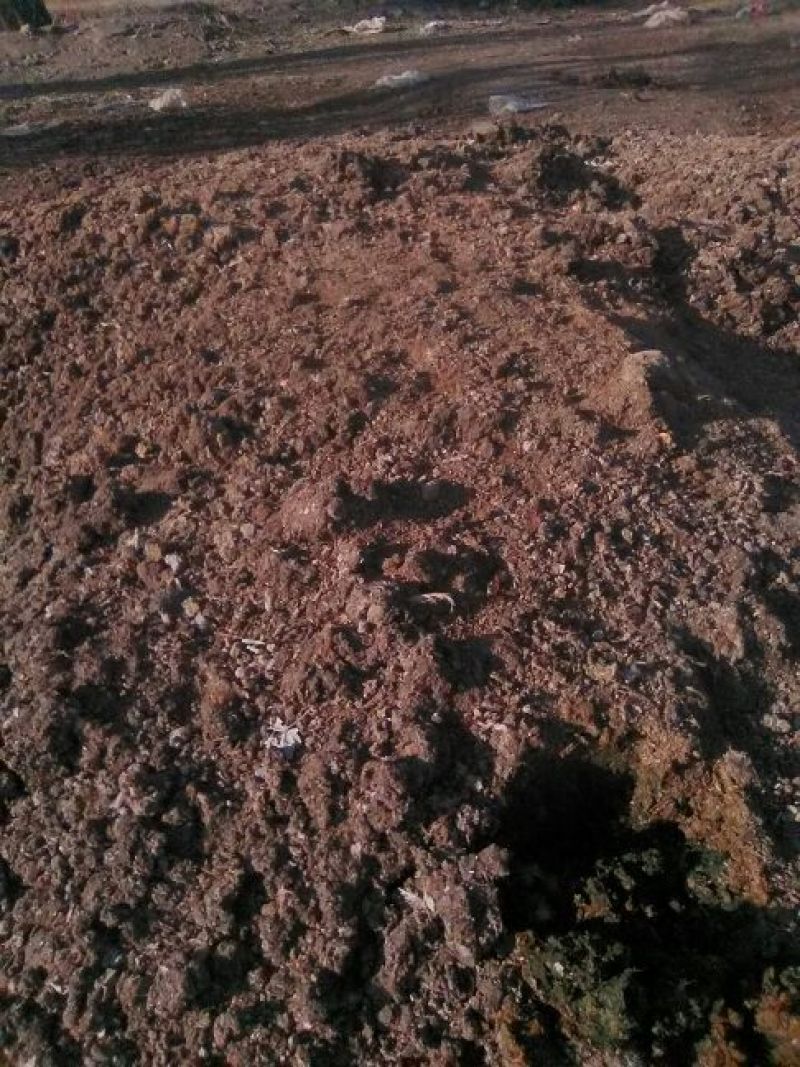 羊粪，猪粪，鸡粪，牛粪禽畜粪羊粪20kg*50袋