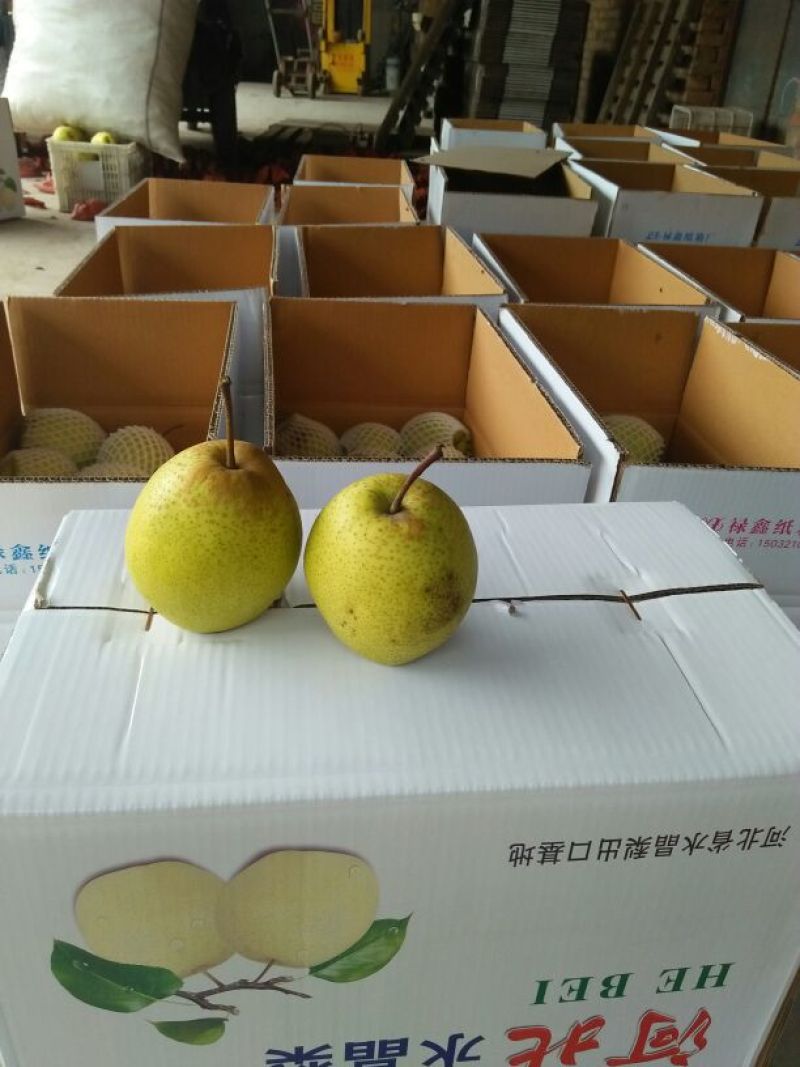 雪花梨350~400g纸箱