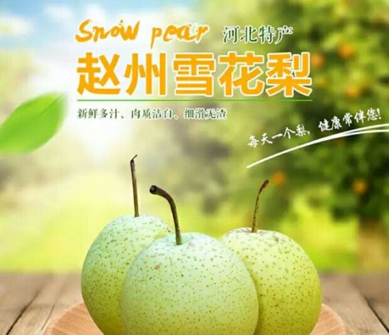 雪花梨350~400g纸袋