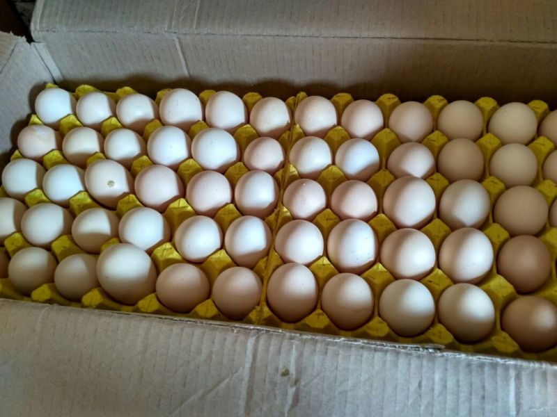 普通鸡蛋食用50g以下