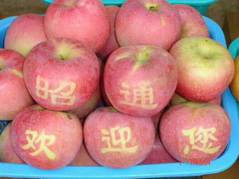 糖心苹果树苗免费提供种植技术。基地直销